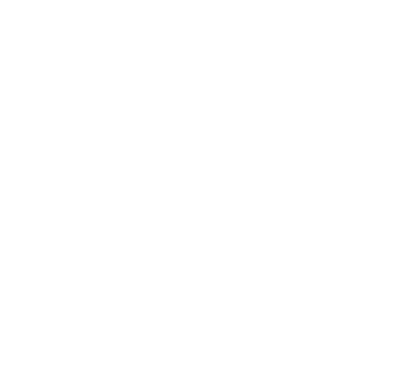 Level Project